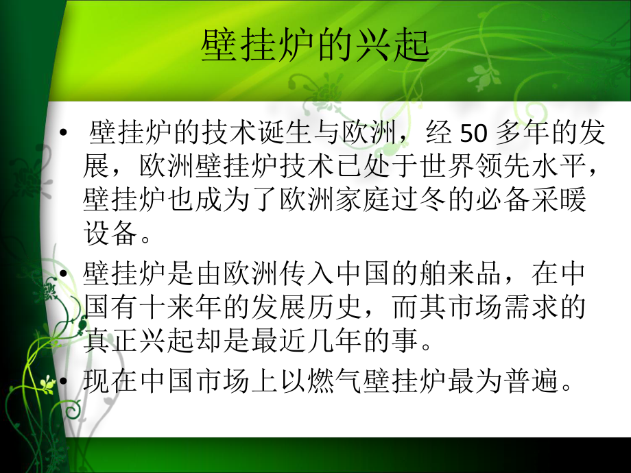 壁挂炉调研报告.ppt_第2页