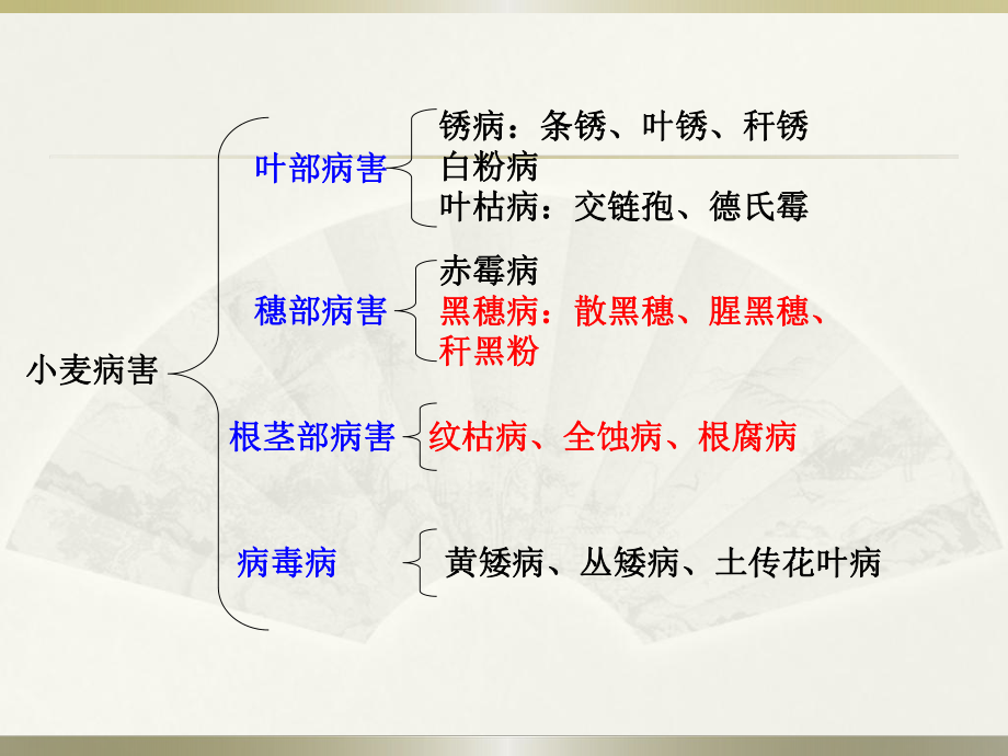 小麦主要病虫害(精).ppt_第2页