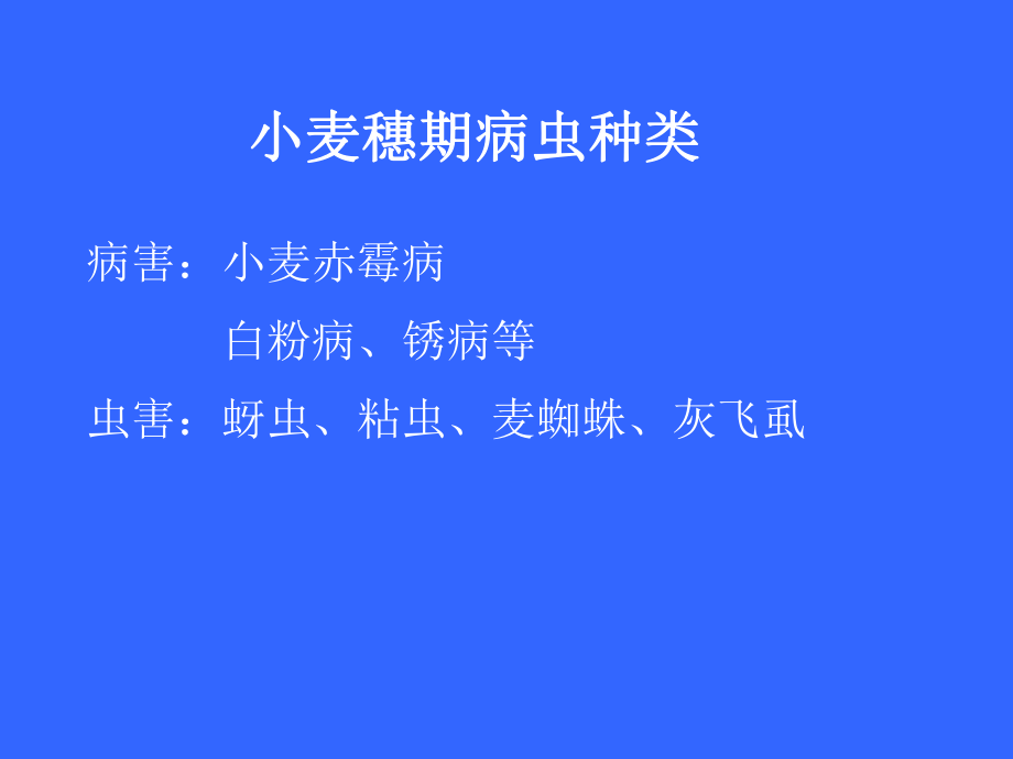 小麦病虫害防治.ppt_第2页