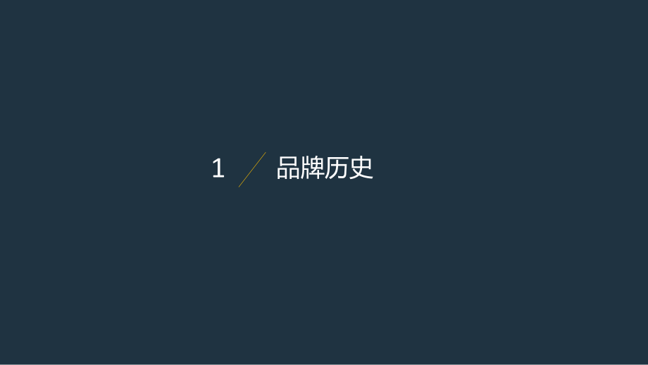 奔驰调研报告.ppt_第3页