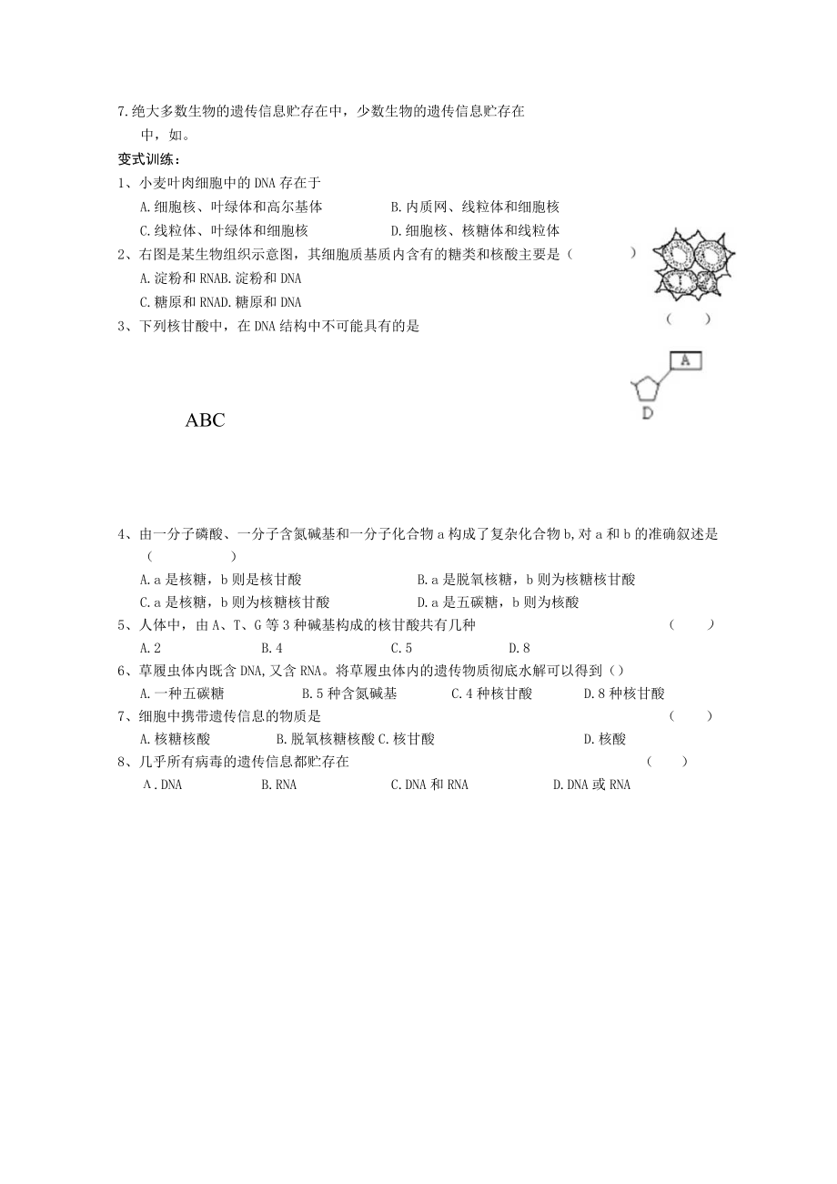 组成细胞的分子遗传信息的携带者——核酸 教学设计.docx_第3页