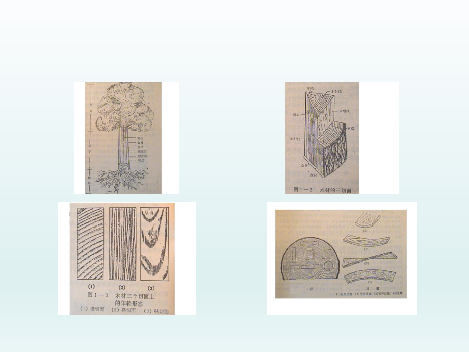 建筑装饰材料——木质装饰材料.ppt_第3页