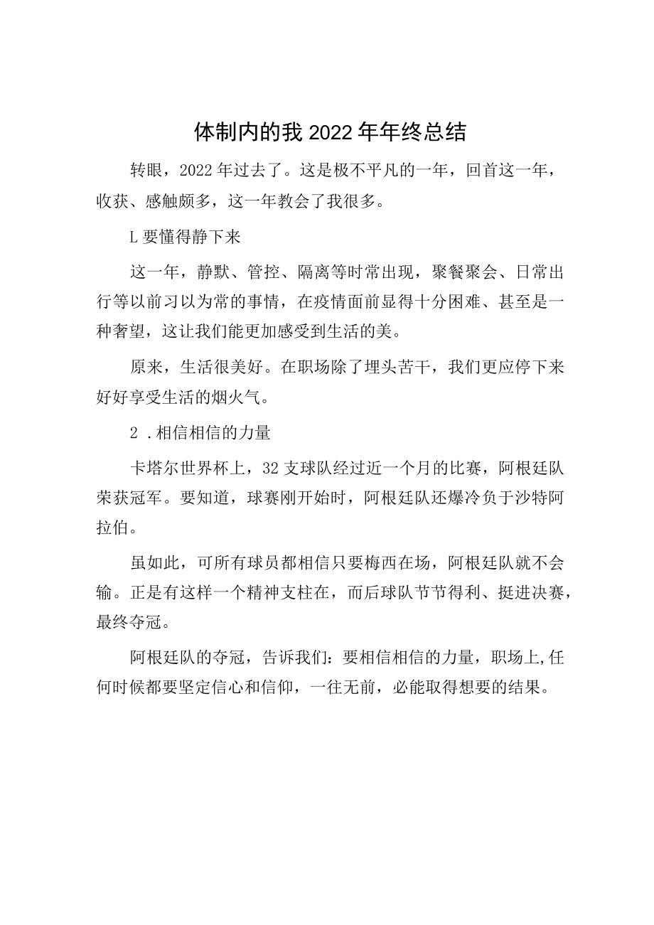 体制内的我2022年年终总结.docx_第1页