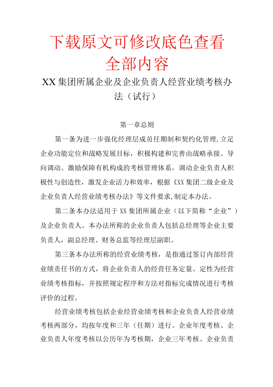 XX集团所属企业及企业负责人经营业绩考核办法（试行）.docx_第1页