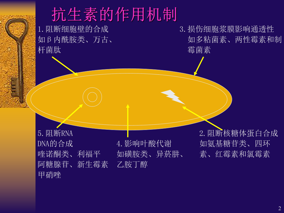 抗生素临床应用.ppt_第2页