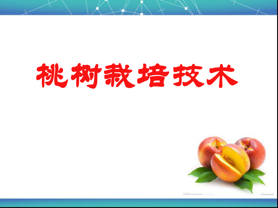 桃树栽培技术.ppt_第1页