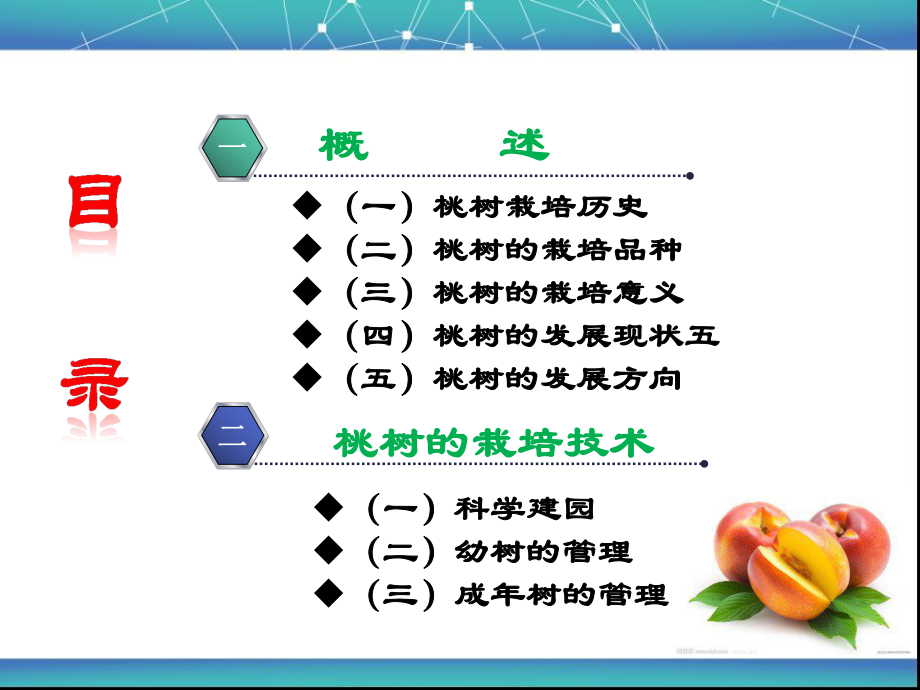 桃树栽培技术.ppt_第2页