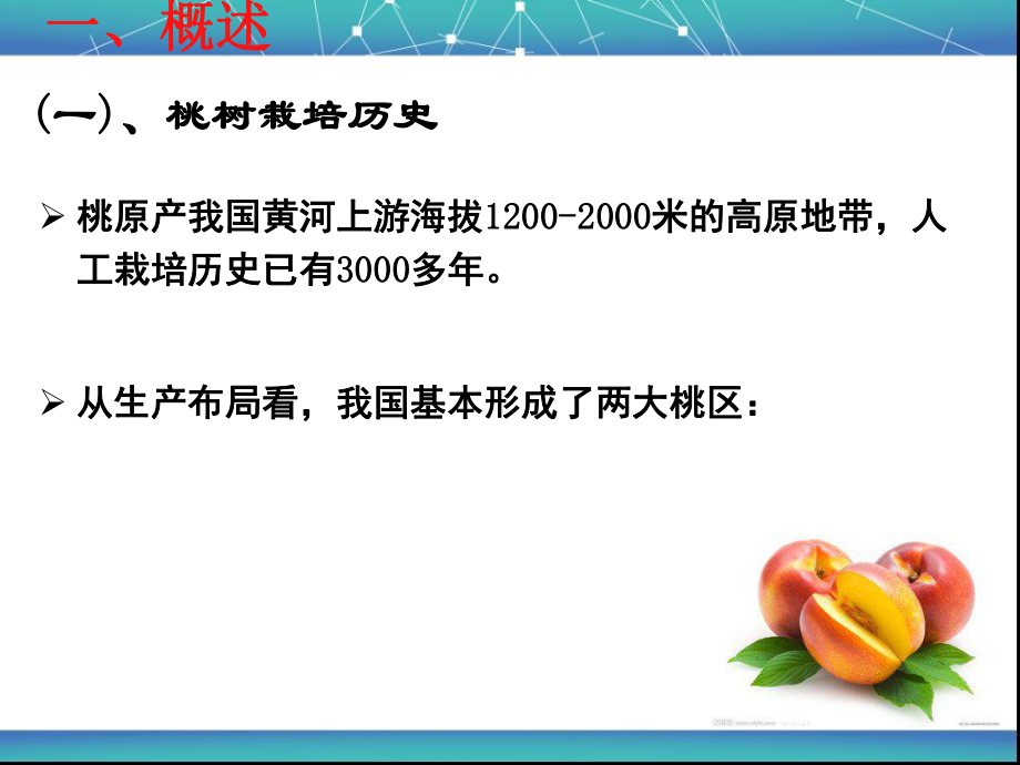 桃树栽培技术.ppt_第3页