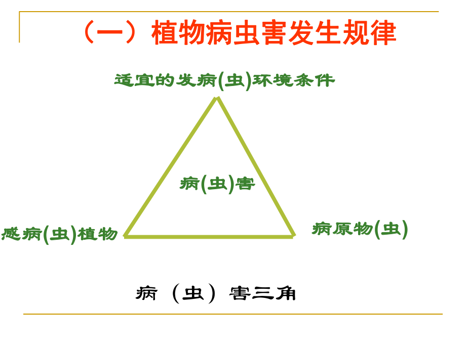 有机蔬菜病虫害防治.ppt_第2页