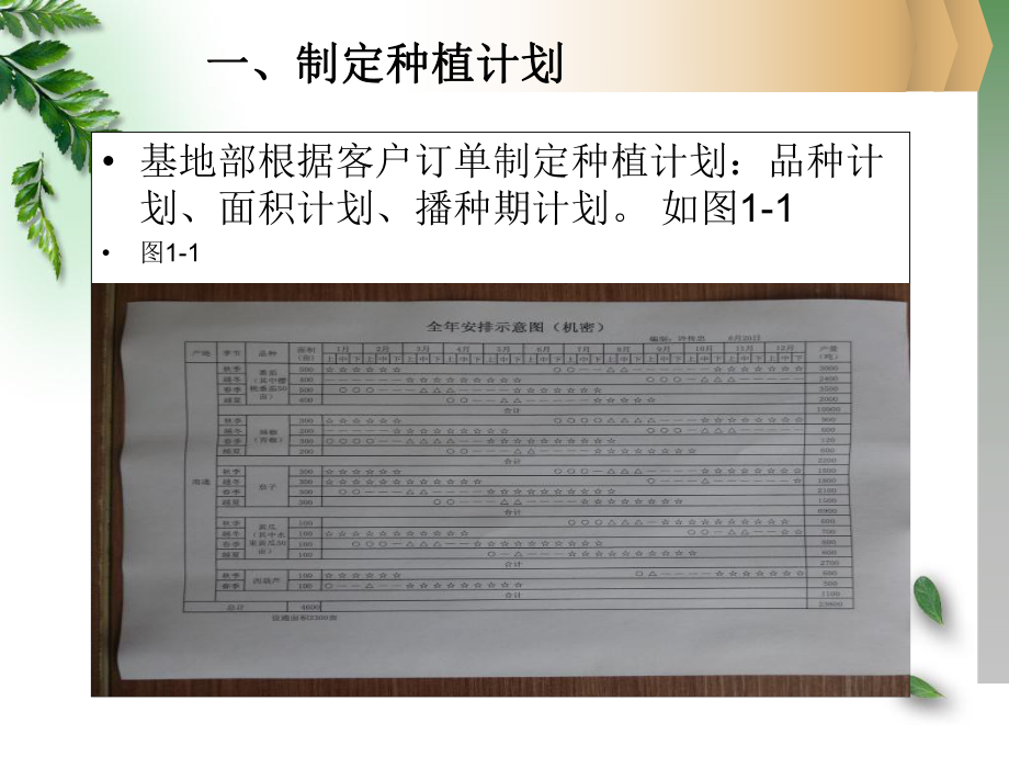 樱桃番茄栽培技术.ppt_第3页