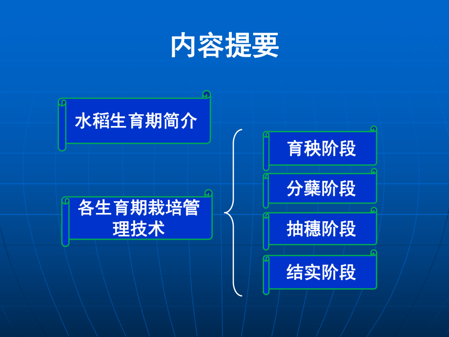 水稻栽培管理技术.ppt_第2页