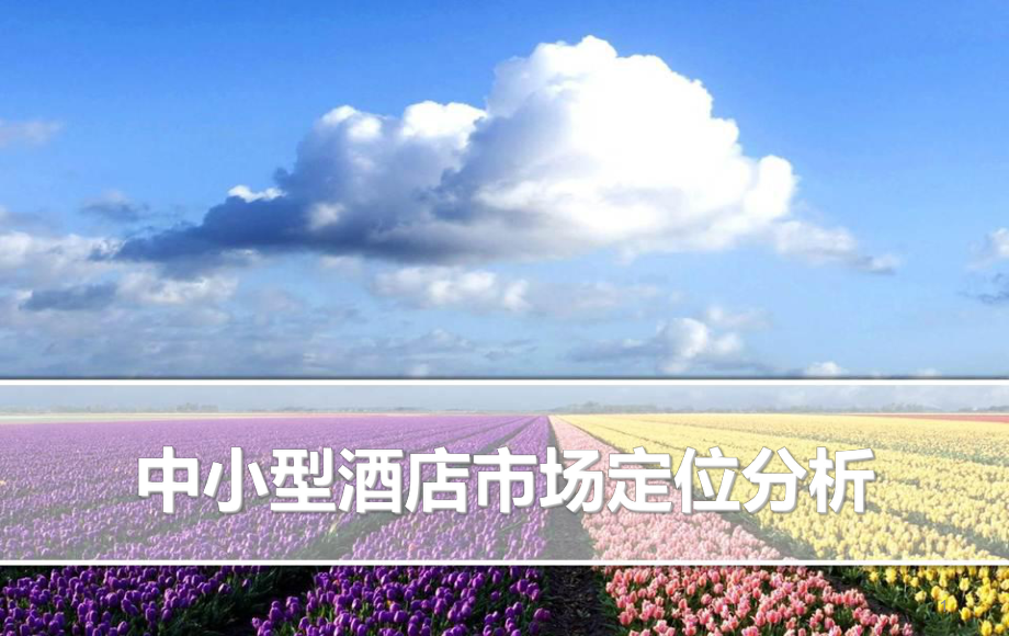 汉庭市场定位分析(市场营销).ppt_第1页