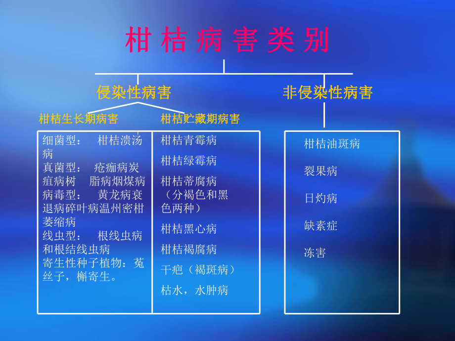 柑橘常见病虫害.ppt_第3页