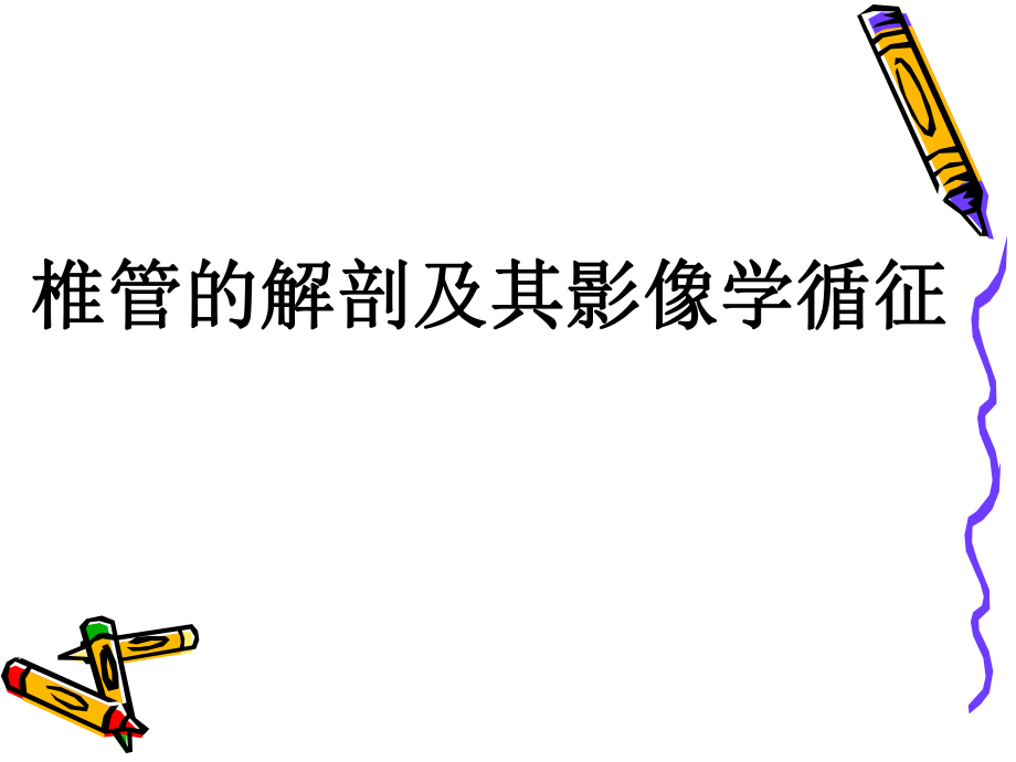 椎管的解剖及其影像学循征.ppt_第1页