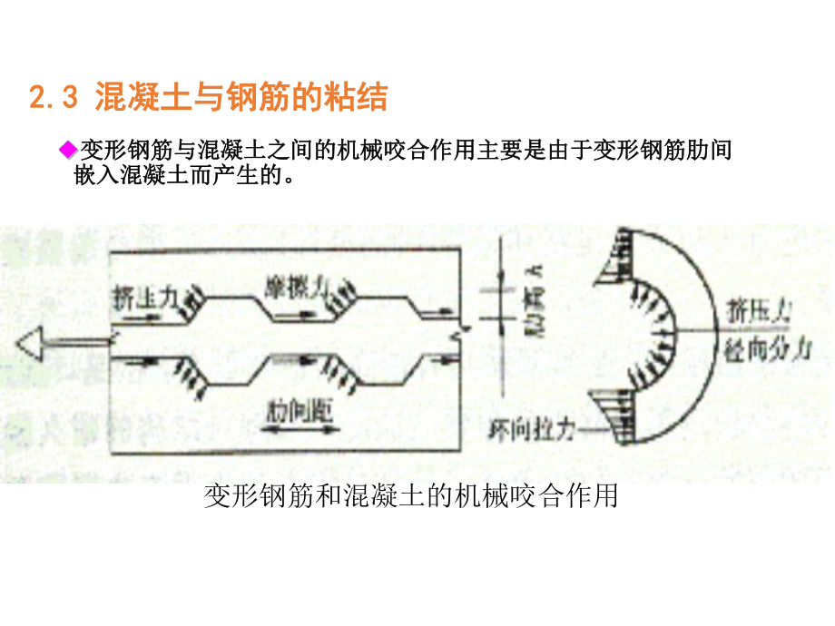 混凝土与钢筋的粘结.ppt_第2页