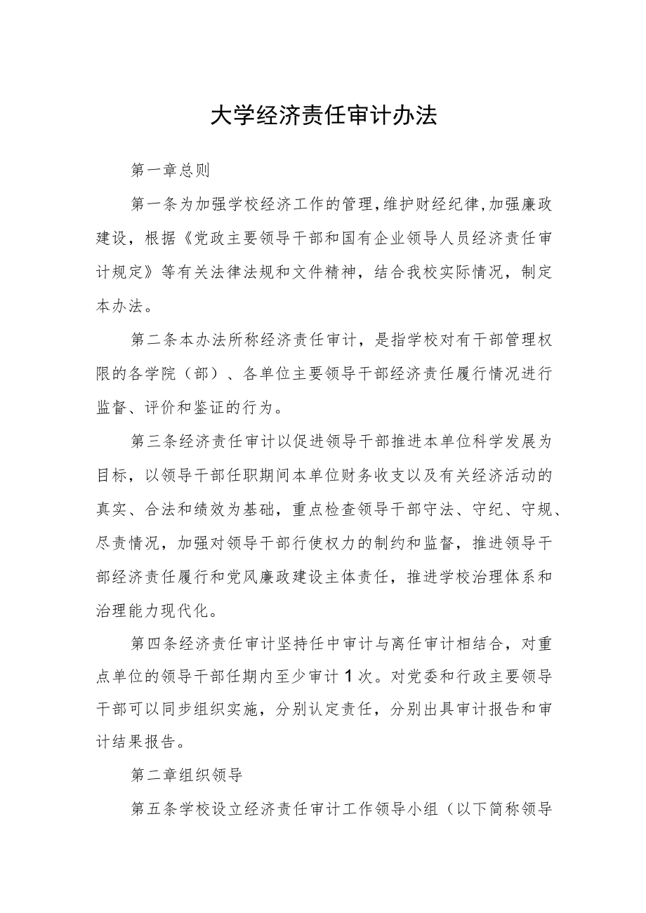 大学经济责任审计办法.docx_第1页