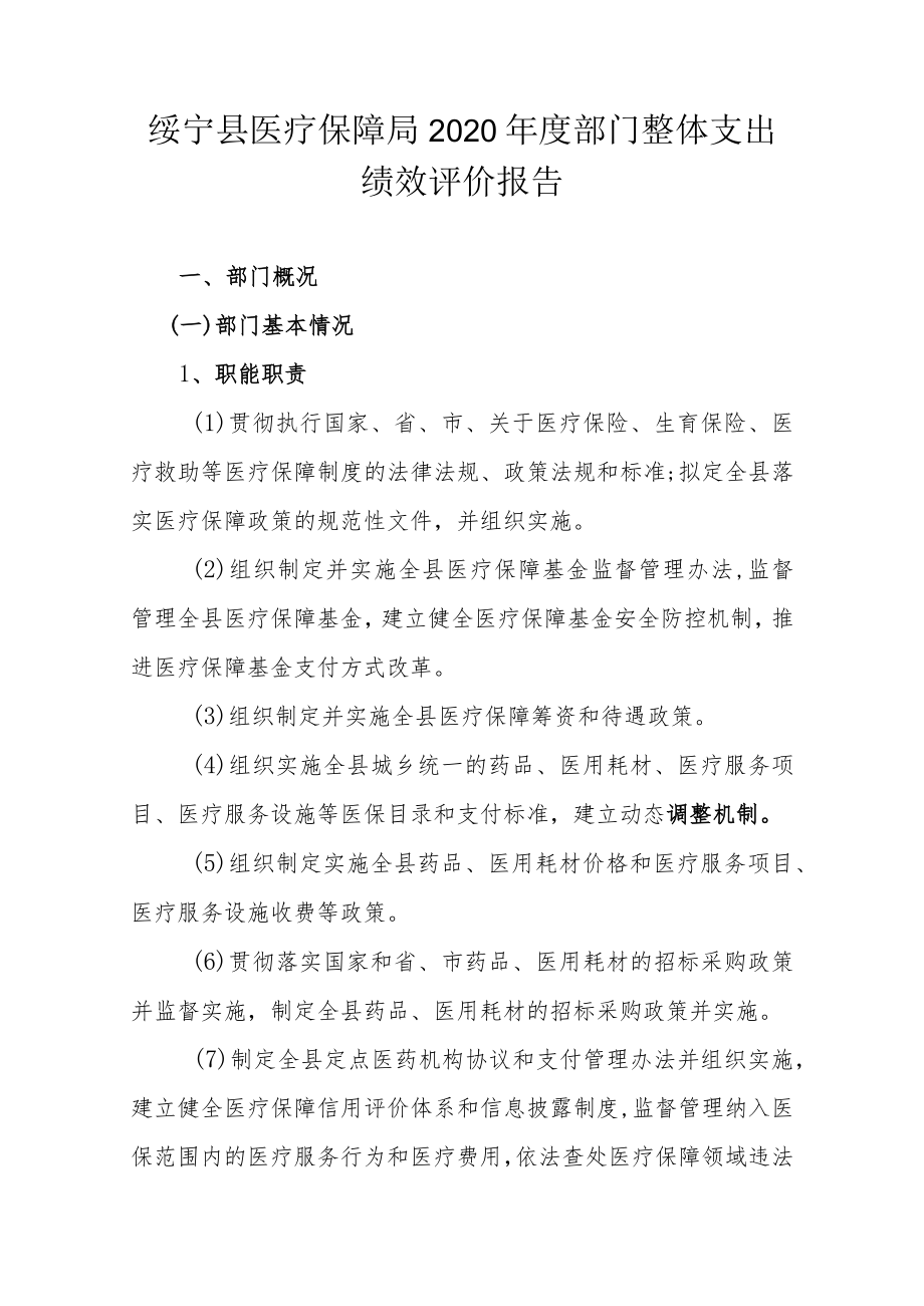 绥宁县医疗保障局2020年度部门整体支出绩效评价报告.docx_第1页