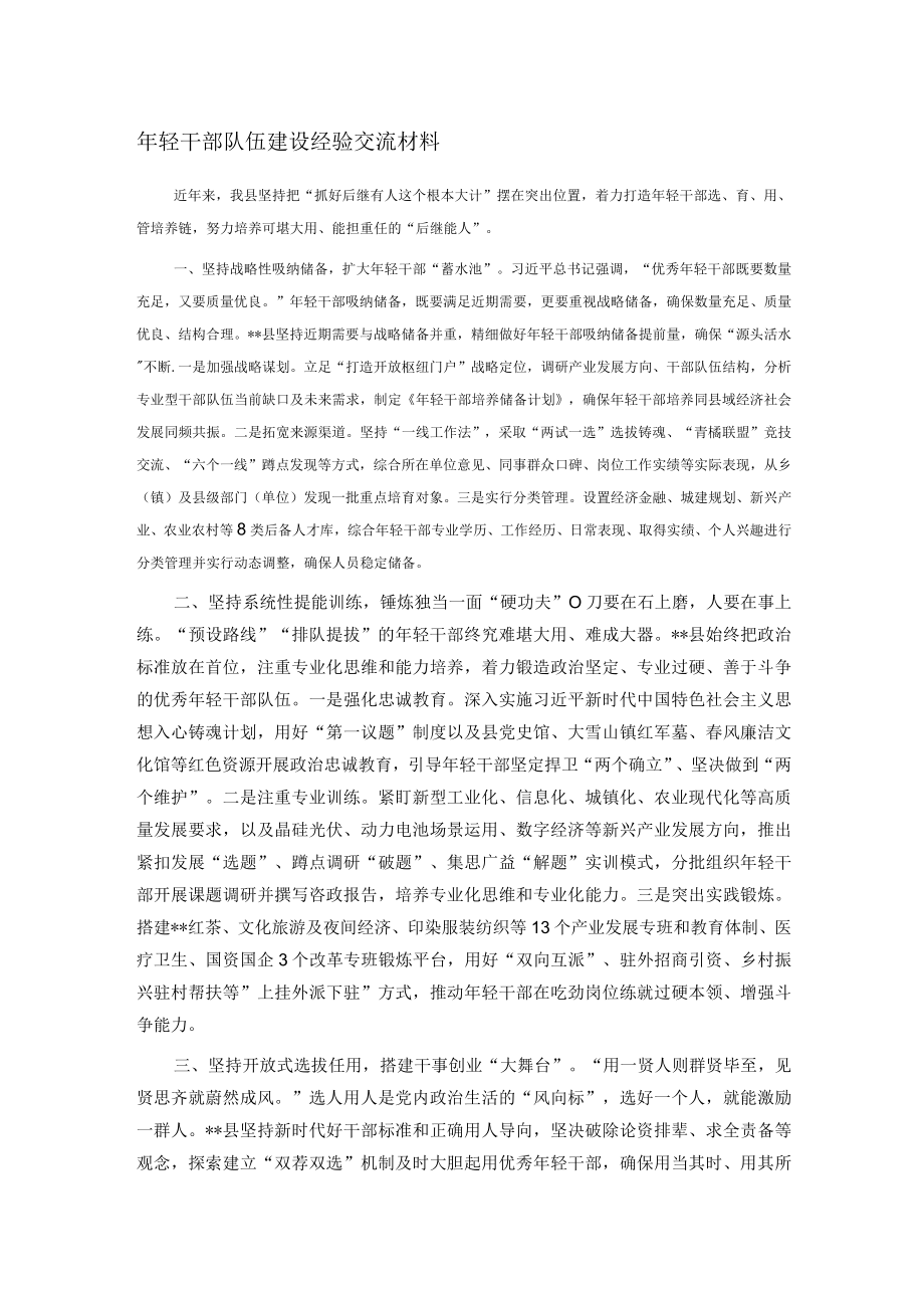 年轻干部队伍建设经验交流材料.docx_第1页