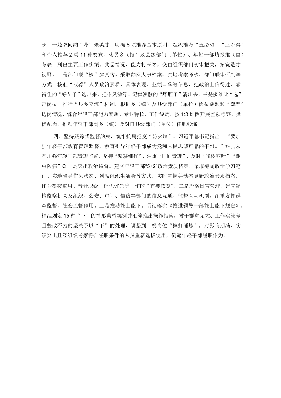 年轻干部队伍建设经验交流材料.docx_第2页