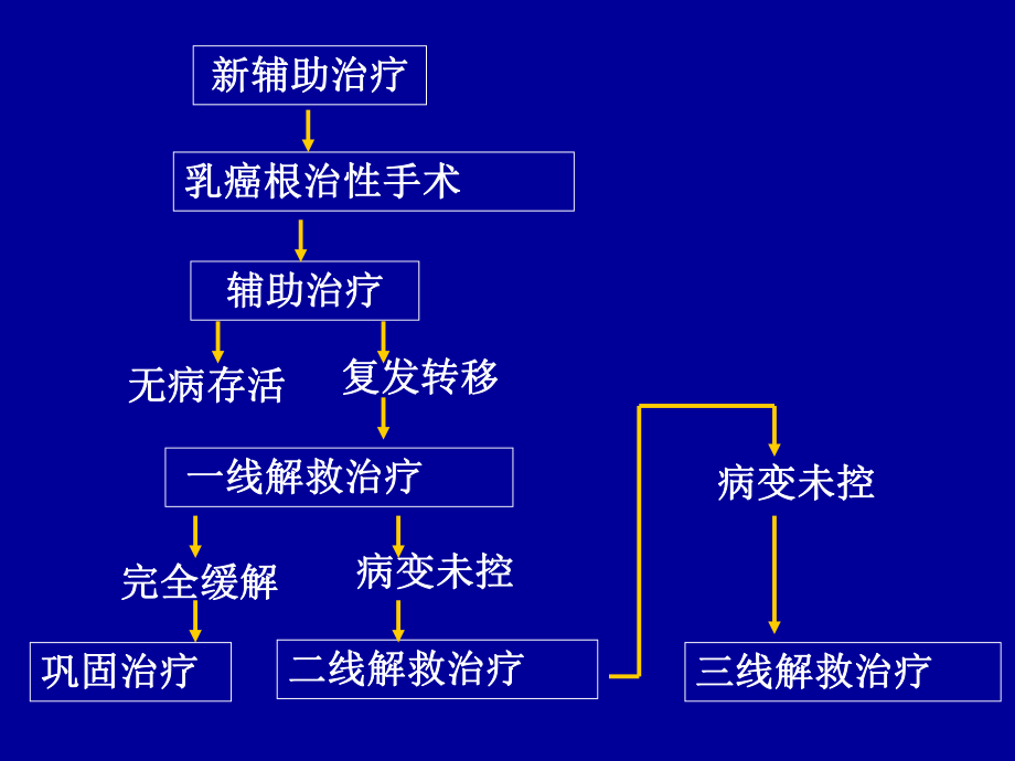 乳腺癌内分泌治疗的策略.ppt_第3页