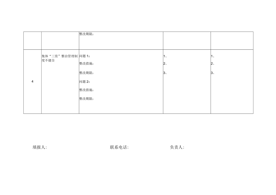 农村集体“三资”监管专项整治问题清单、制度清单和成果清单.docx_第3页