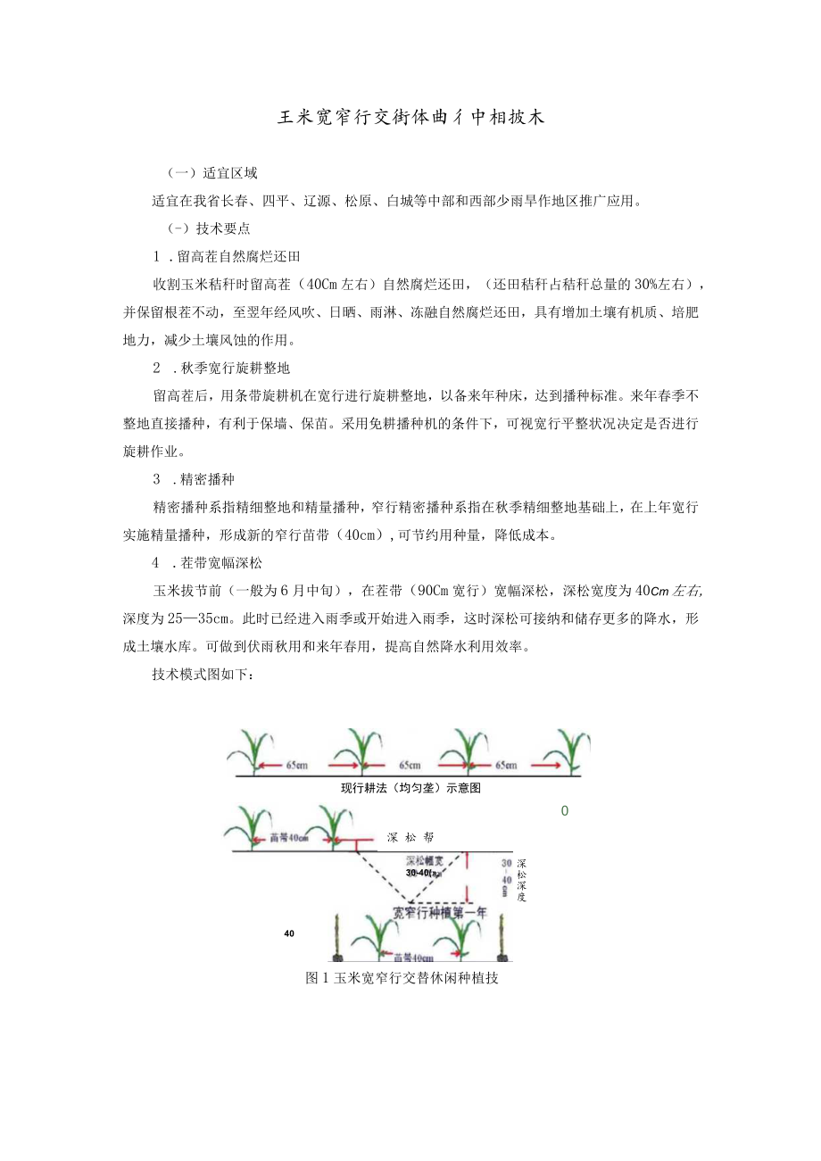 玉米宽窄行交替休闲种植技术.docx_第1页