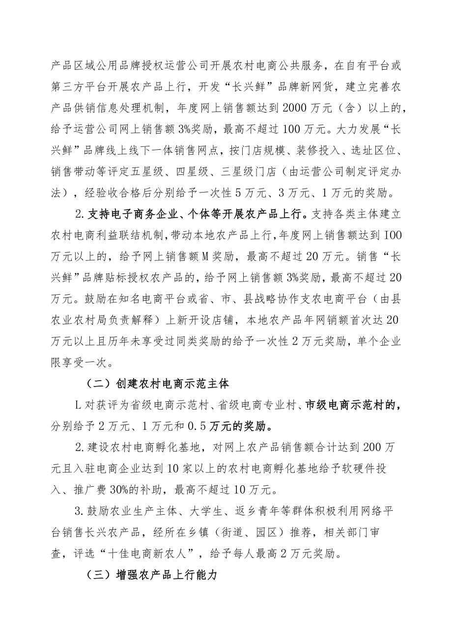 长兴县农村电子商务发展政策实施细则.docx_第2页