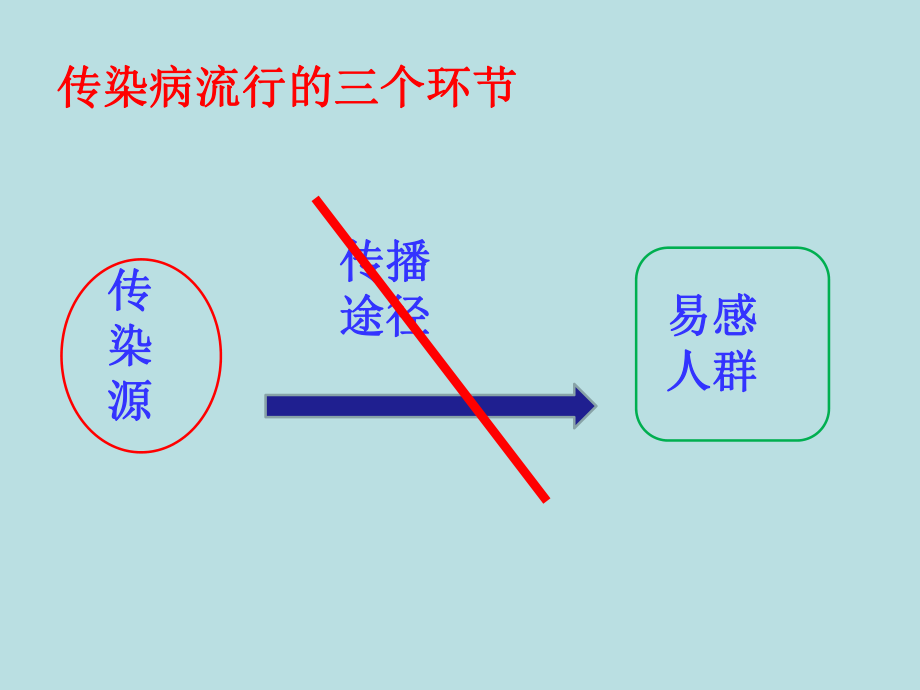 传染病及其预防.ppt_第3页