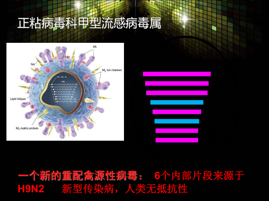 甲型流感H7N9培训资料.ppt_第3页