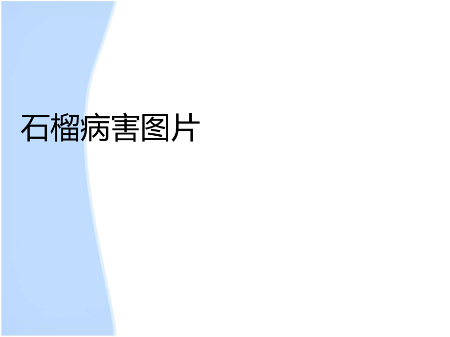 石榴病虫害防治.ppt_第2页