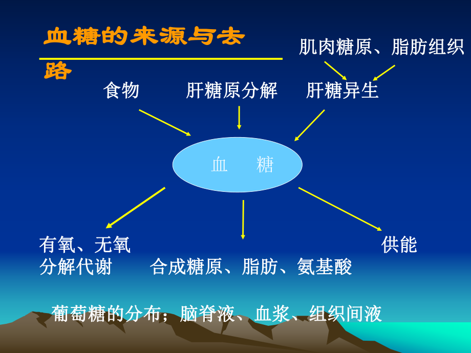 糖尿病抗体三项.ppt_第2页