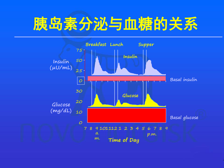 糖尿病的胰岛素治疗.ppt_第2页