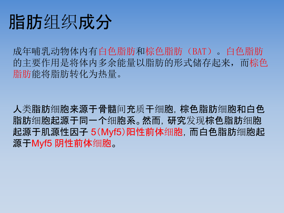 脂肪与糖尿病的关系.ppt_第2页