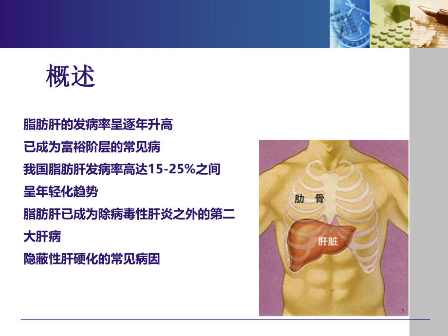 脂肪肝健康教育(姜).ppt_第2页