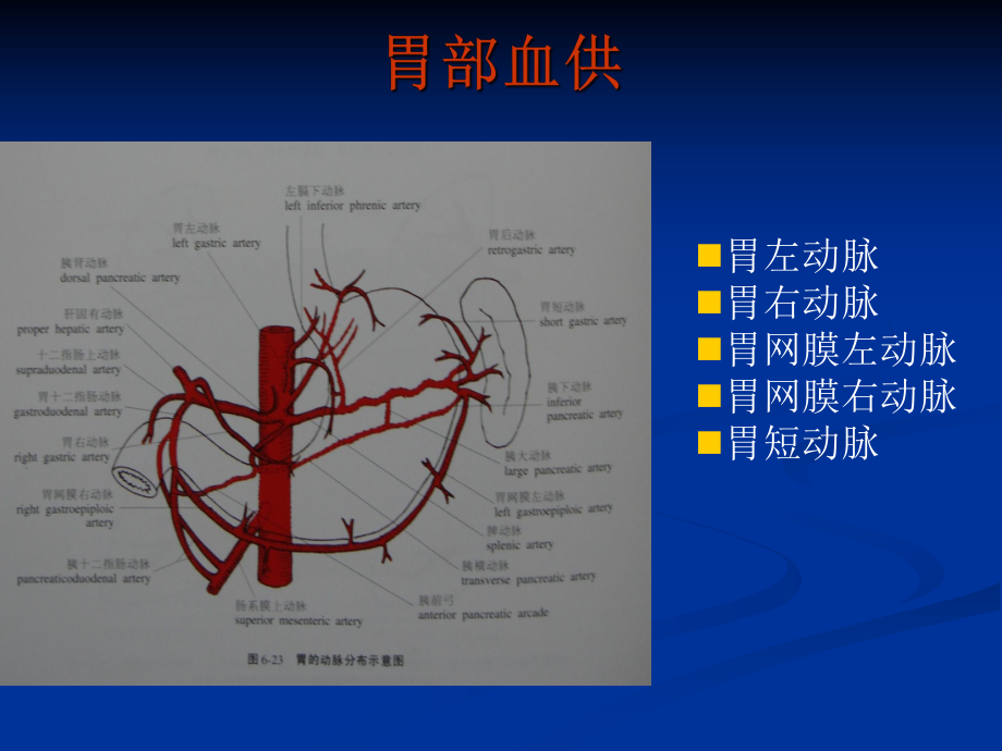 胃癌介入治疗的临床分析与疗效评价.ppt_第3页