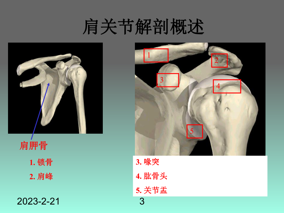 肩关节损伤影像学评估.ppt_第3页