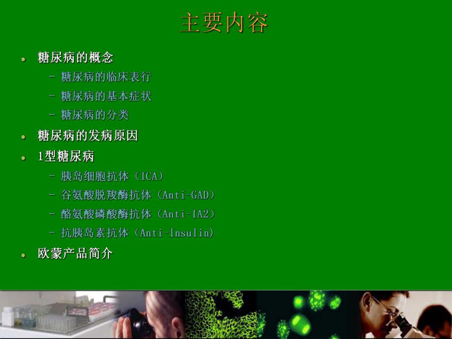 自身免疫性糖尿病.ppt_第2页