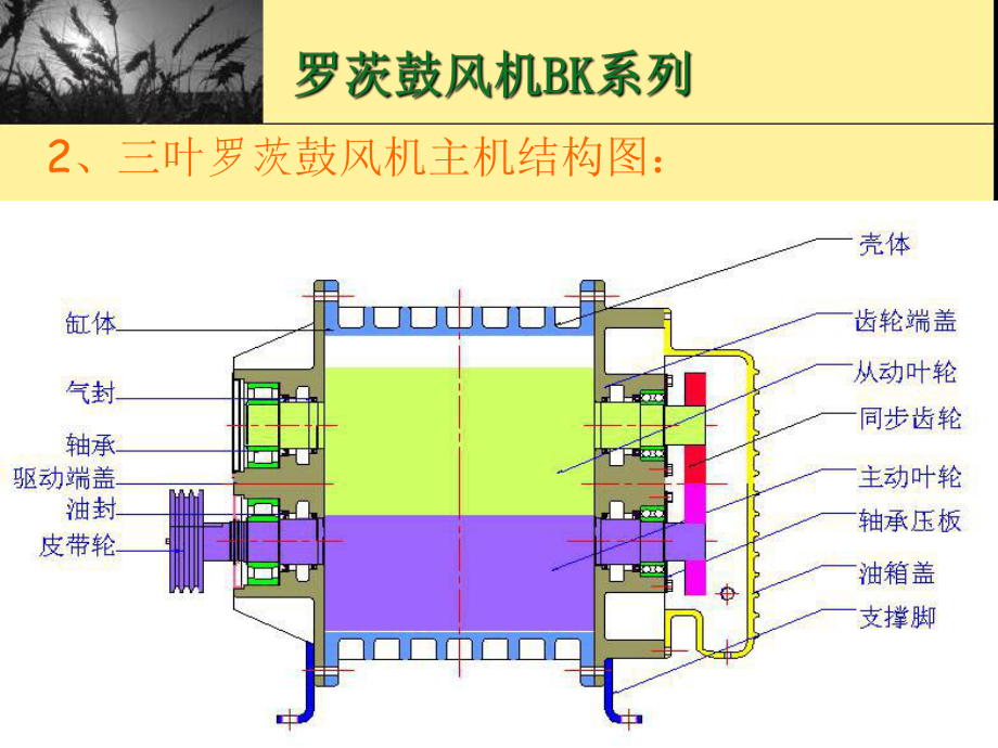 罗茨风机培训资料.ppt_第3页