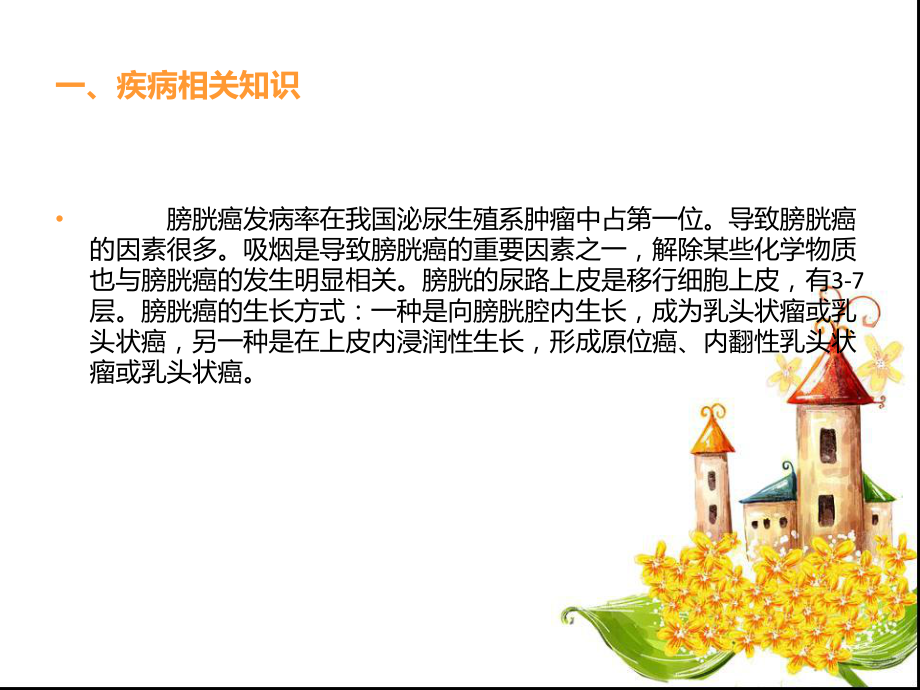 膀胱肿瘤的健康教育.ppt_第2页