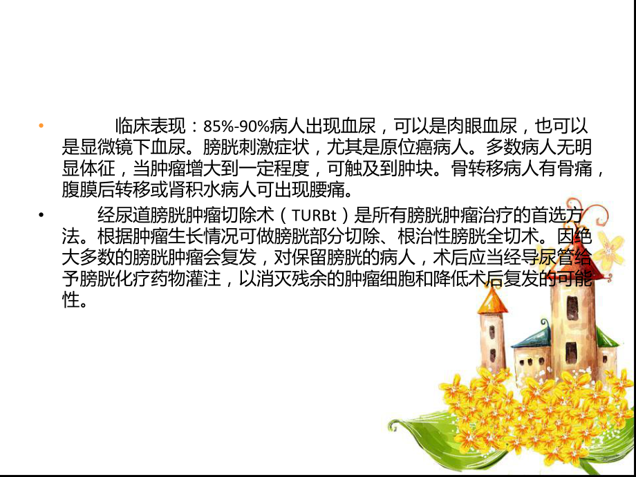 膀胱肿瘤的健康教育.ppt_第3页