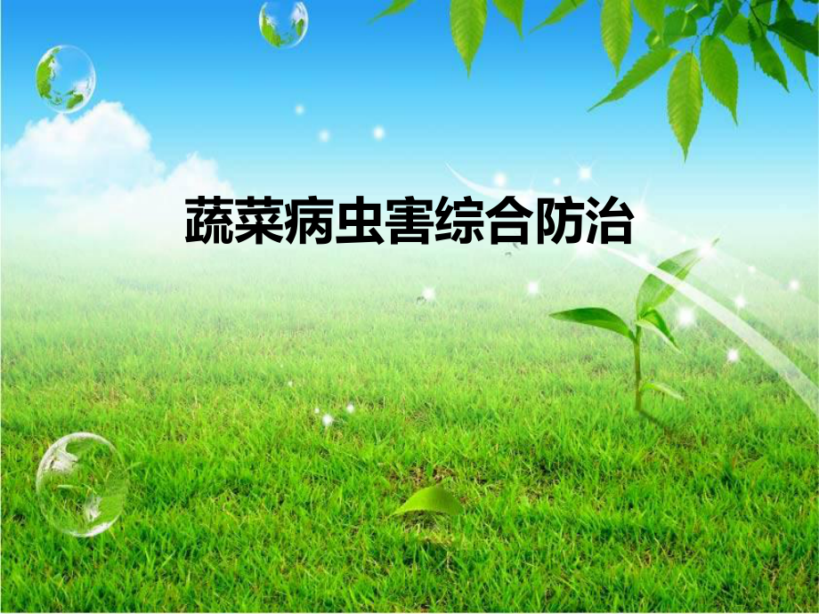 蔬菜病虫害综合防治.ppt_第1页