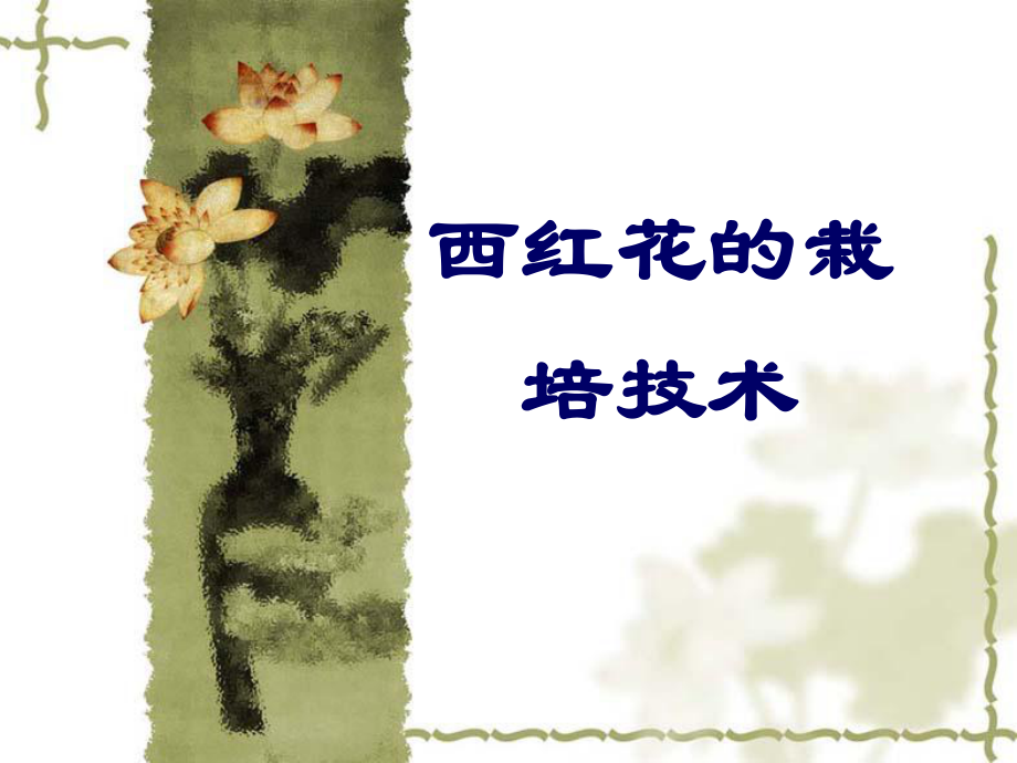 西红花栽培技术.ppt_第1页