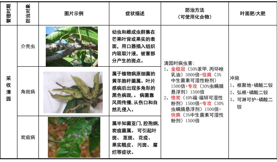 芒果病虫害防治手册.ppt_第2页