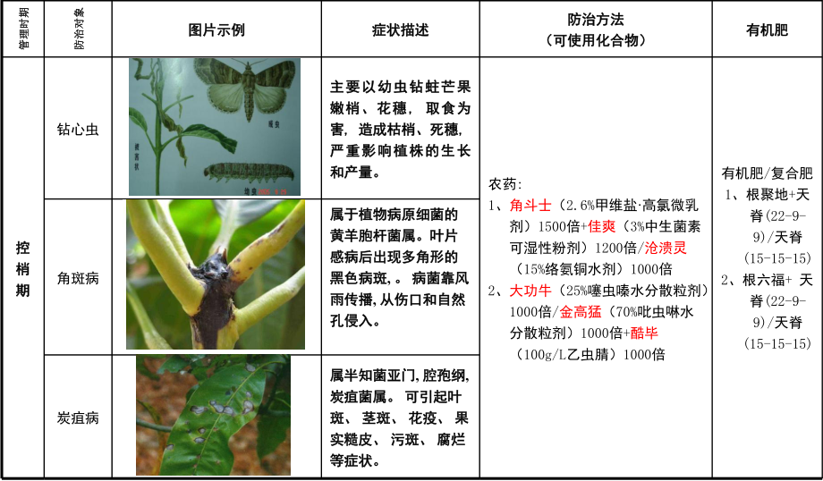 芒果病虫害防治手册.ppt_第3页