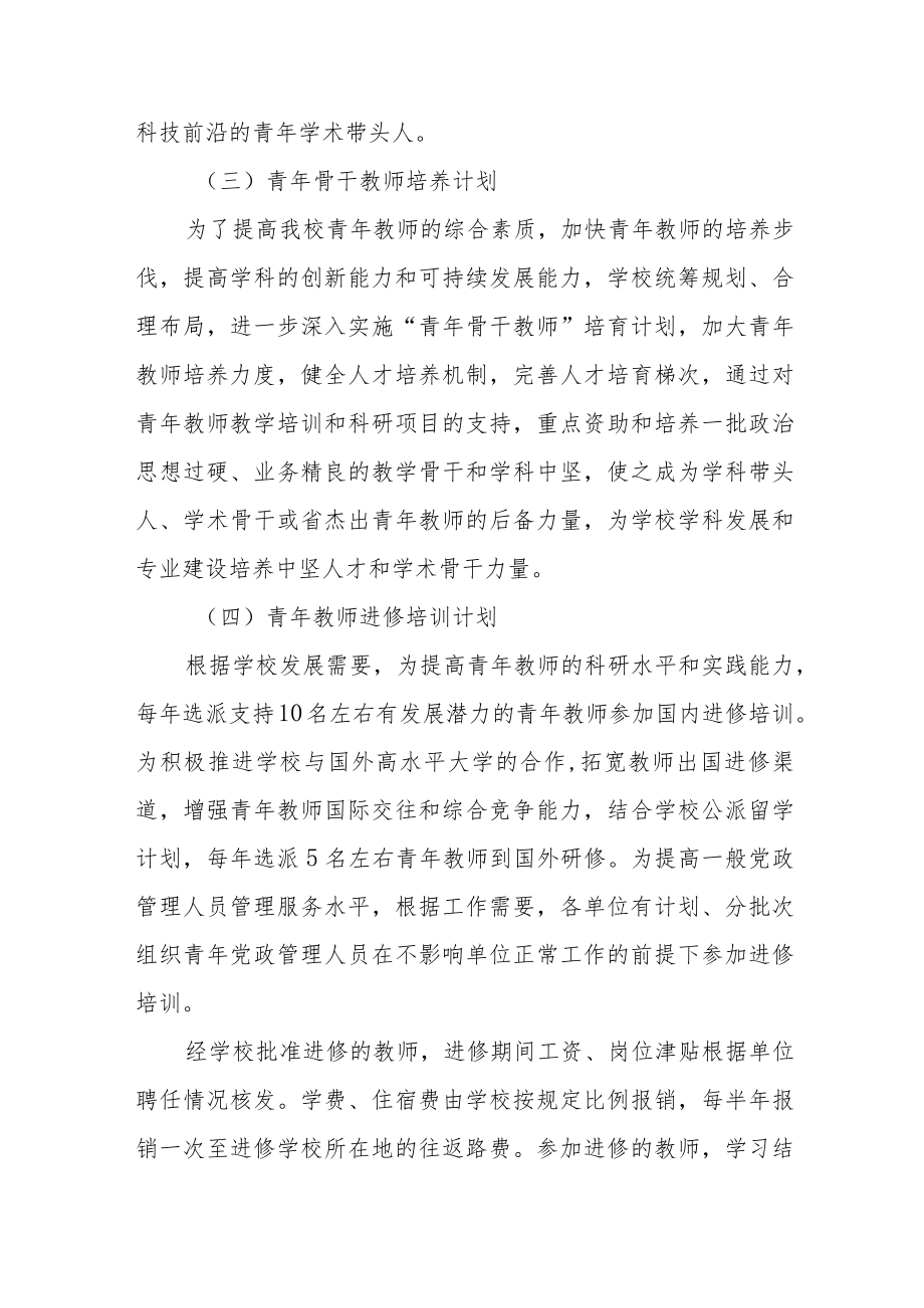 师范大学关于加强青年教师培养工作的指导意见.docx_第3页