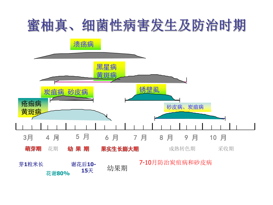 蜜柚病虫害综合防治技术.ppt_第3页