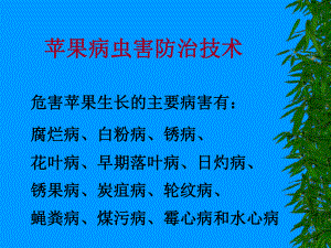 苹果病虫害防治技术.ppt