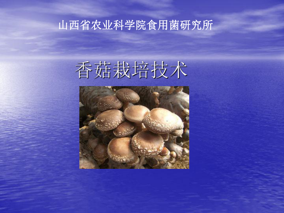 香菇栽培技术.ppt_第1页