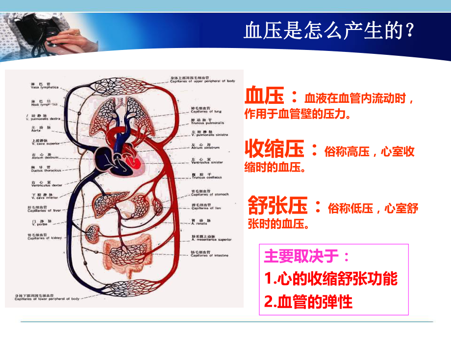 高血压基础知识合集.ppt_第3页