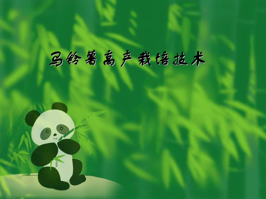 马铃薯高产栽培技术.ppt_第1页